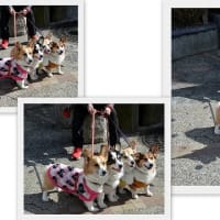 会いたいな・・・　月