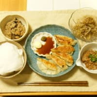 ８日目の晩ごはん→１２８円【鶏肉とキャベツの餃子レシピ】