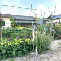 6月21日（土）③