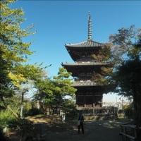 三渓園の三重塔は京都から移築された建物です。