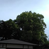 むうん
