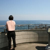 国の名勝、国定公園に指定：室戸岬美景、ドキドキ眺め　(高知県室戸市)