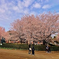 近況報告させて頂きます。