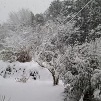 長く休んでいました
