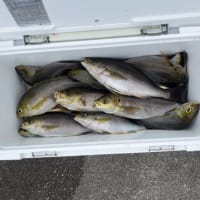 ９日・釣果