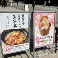 靖国神社のご飯処　玉子丼美味しい