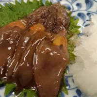 いづみや第二支店で酎ハイの焼酎割り(笑)　阿保