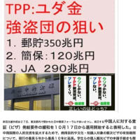 ​完全郵政民営化and農協民営化【海賊かっぱらい】2025/06/20
