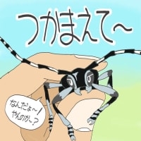 「もう夏だね〜」