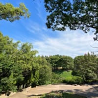 千里南公園へ　5年ぶり。