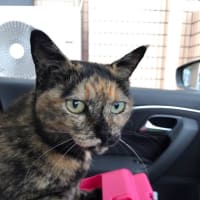 あれから色々有りました
