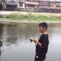 鴨川で釣り