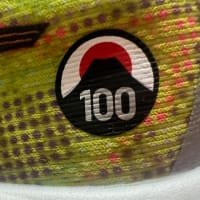 第100回 東京箱根間往復大学駅伝競走（箱根駅伝） / シューズ編