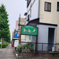 マルちゃん入院になりました