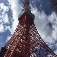 東京タワー 〜トップデッキツアー〜