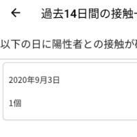 どうしよう