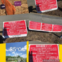 ☆昨日は！！一日！！津波警報だらけ！だらけ！！！（笑）☆