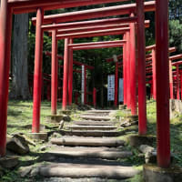 岩手県紫波大稲荷神社　御神木たち