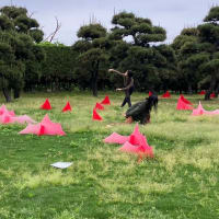 初夏の庭24日イベントご報告