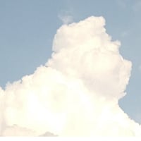 夏が来る、大ちゃん里山農業。シバちゃん。クーちゃん。ネムネムちゃん。小吉ちゃん。金魚ちゃん。