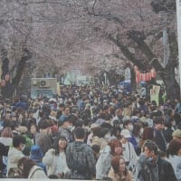 ２０２５年４月　青森　その３