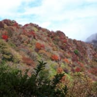 仁田峠 