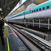 臨時団体列車　東京駅　2024