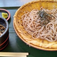 今日のおでかけ