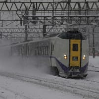 最近のキハ261系函館車の現況