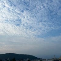 臨時休業です。