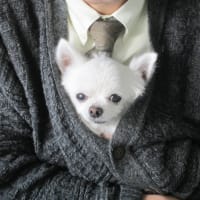 温くぬく