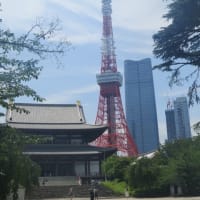 東京タワーとレッスンと・・・