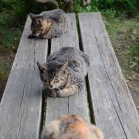 ベンチで休憩中