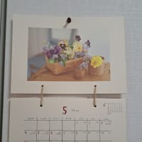 2025年5月観劇と俳句の予定