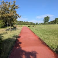 今朝の防災公園