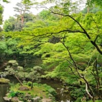2012.5.16    国分寺　殿ヶ谷戸庭園