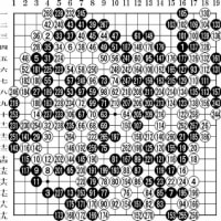 蛋白質と囲碁の構造的類似性