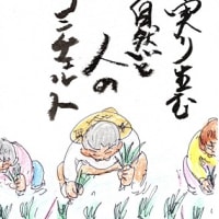 田植え終わりゃ梅雨が来た