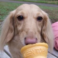 ソフトクリームはバニラが好き
