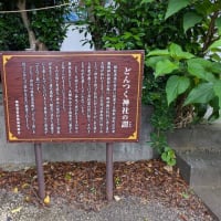 親孝行できたかな😊～母の長寿お祝い旅行⑤終