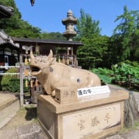 三室戸寺その１