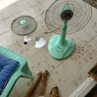防犯カメラが、故障中。