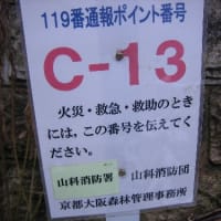 山科119番　道標 (C1-13)　C1〜13