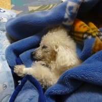 梅雨の中休みも終わり？ （￣。￣）　梅雨前線の復活～ (-＿-)ｳｰﾑ