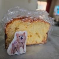 美味しいパンを買ってきました