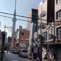 浅草ほおづき市