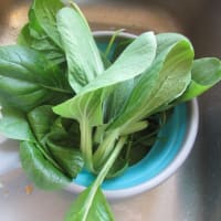 夫不在中のでき事と、一人ご飯。家庭菜園の厳しさ。