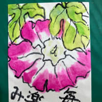 毎朝の楽しみ