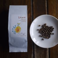 【3-4月】ほぼ月替りコーヒー　タンザニア /タンガニーカ湖周辺小農家