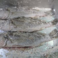 イシモチの中華風餡かけ
